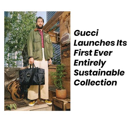 gucci sustainability benchmarks.